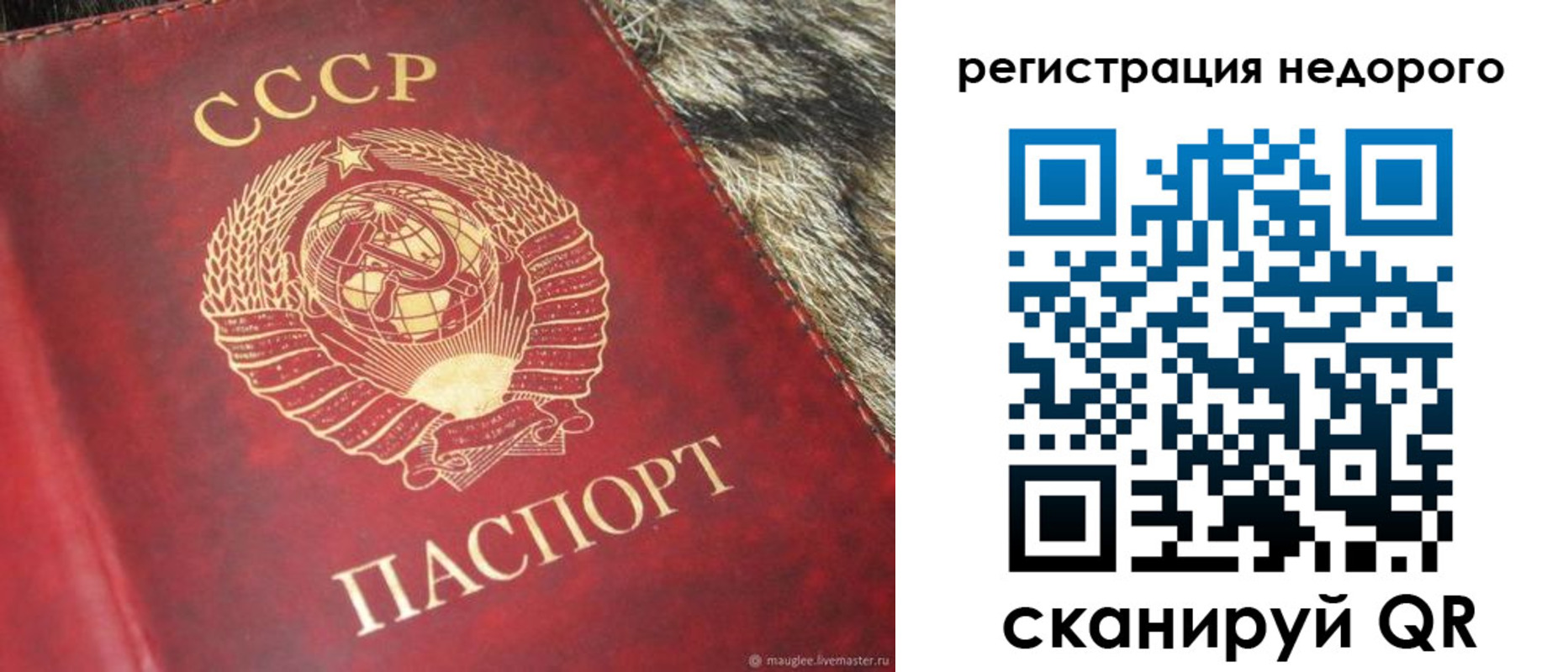 прописка ребенка в Шатуре